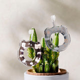 BABY HAMICO - Baby Animals